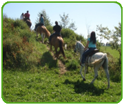 Reiten im Gelände